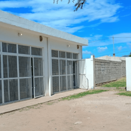 Captura-de-pantalla-2026-02-06-125654-1