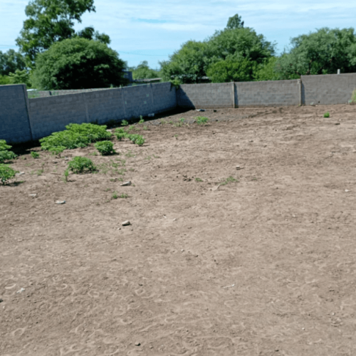 Captura-de-pantalla-2026-02-06-125749-1