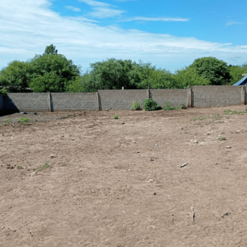 Captura-de-pantalla-2026-02-06-125807-1