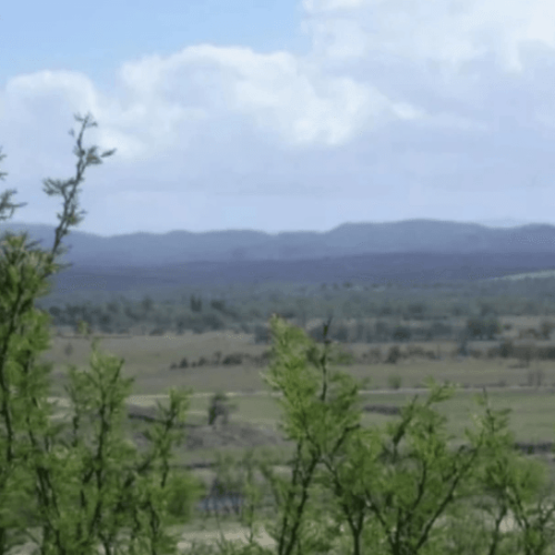 Captura-de-pantalla-2026-02-24-143440