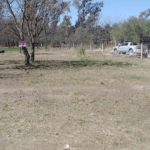 Captura-de-pantalla-2026-02-24-143445