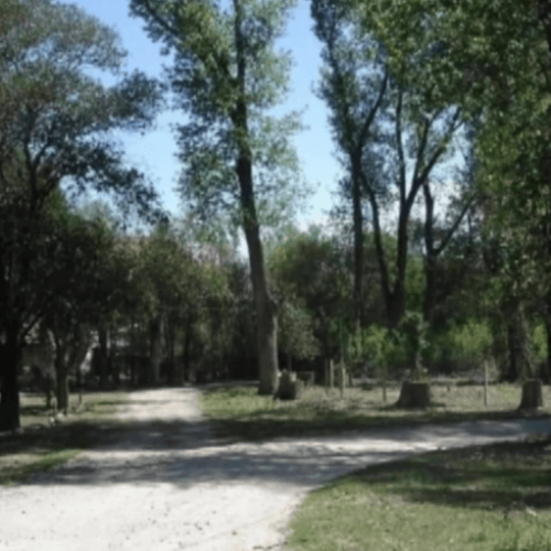 Captura-de-pantalla-2026-02-24-143454