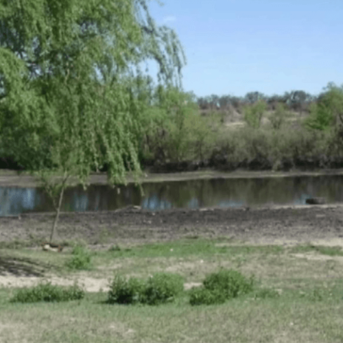 Captura-de-pantalla-2026-02-24-143503