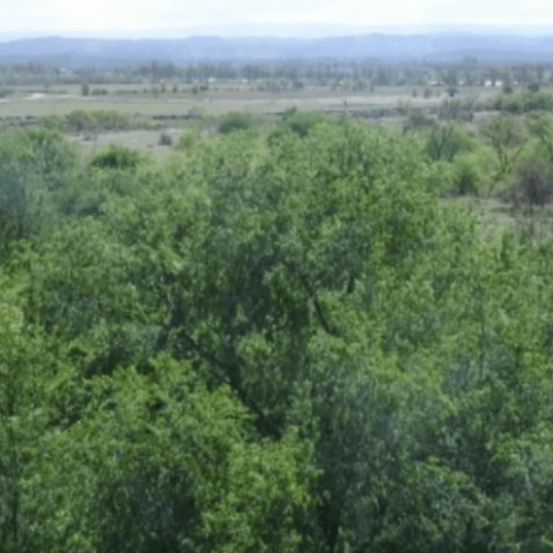 Captura-de-pantalla-2026-02-24-143508