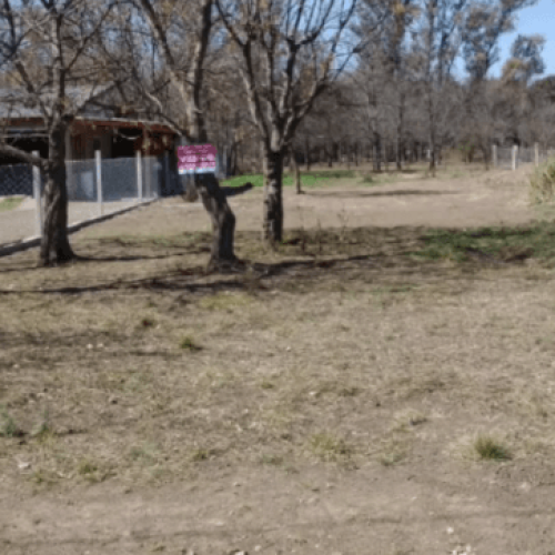 Captura-de-pantalla-2026-02-24-143519