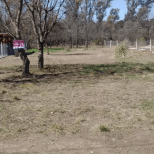 Captura-de-pantalla-2026-02-24-143525-1