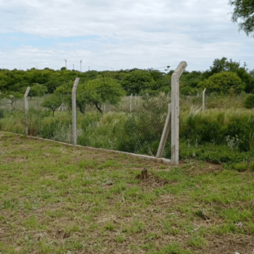 Captura-de-pantalla-2026-02-27-114941