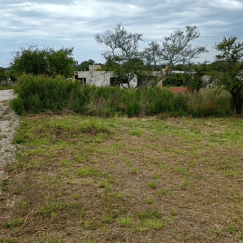 Captura-de-pantalla-2026-02-27-114947