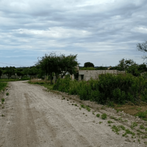 Captura-de-pantalla-2026-02-27-114953