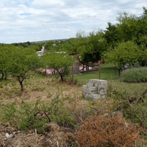 Captura-de-pantalla-2026-02-27-114959