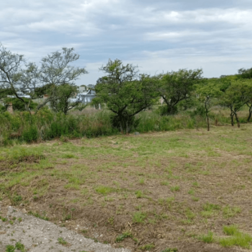 Captura-de-pantalla-2026-02-27-115018