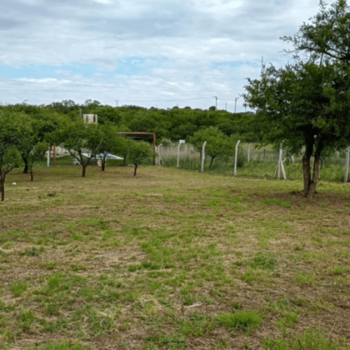 Captura-de-pantalla-2026-02-27-115025-1