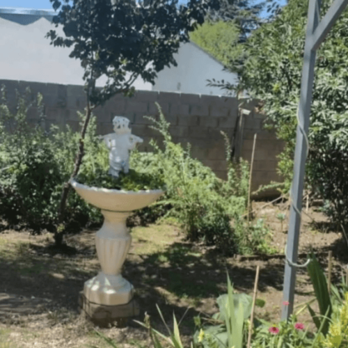 Captura-de-pantalla-2026-03-02-125332