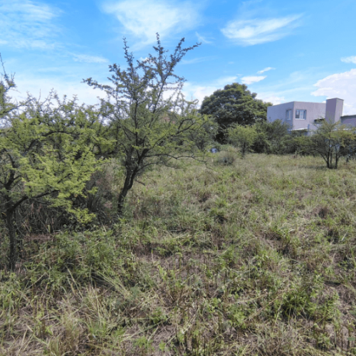 Captura-de-pantalla-2026-03-02-145714