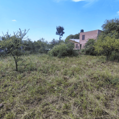 Captura-de-pantalla-2026-03-02-145721