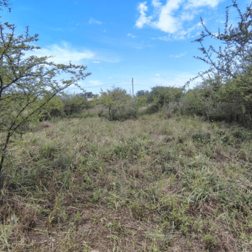 Captura-de-pantalla-2026-03-02-145727