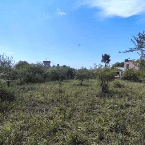 Captura-de-pantalla-2026-03-02-145734-1