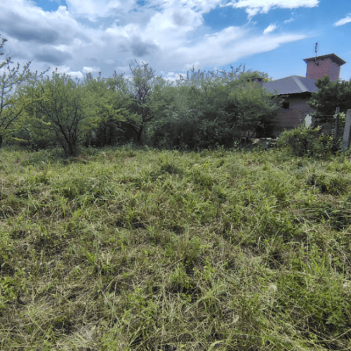 Captura-de-pantalla-2026-03-02-145743