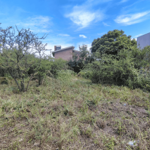 Captura-de-pantalla-2026-03-02-145750