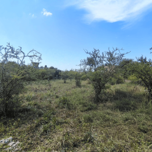 Captura-de-pantalla-2026-03-02-145757