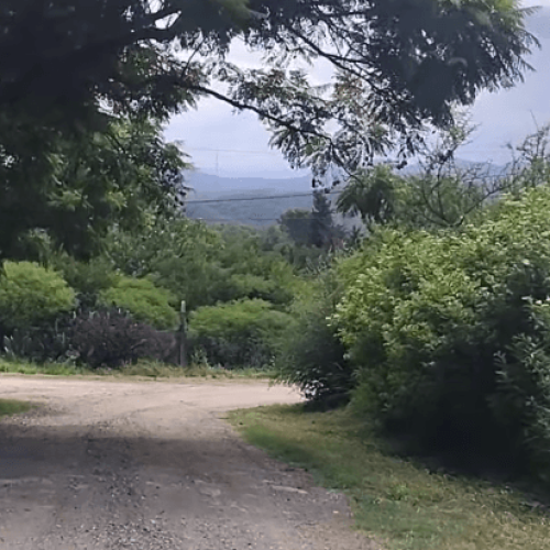 Captura-de-pantalla-2026-03-02-145843