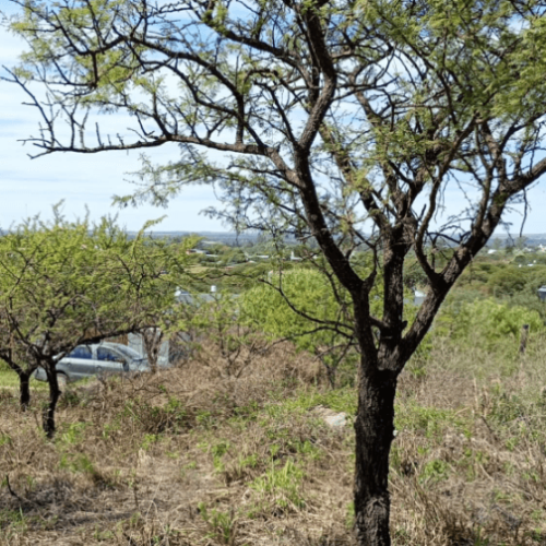 Captura-de-pantalla-2026-04-06-121148