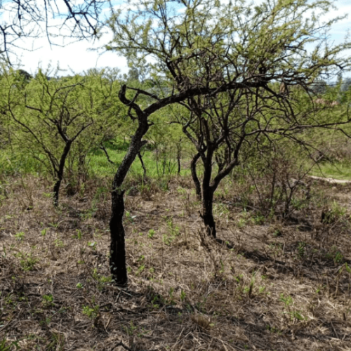 Captura-de-pantalla-2026-04-06-121155