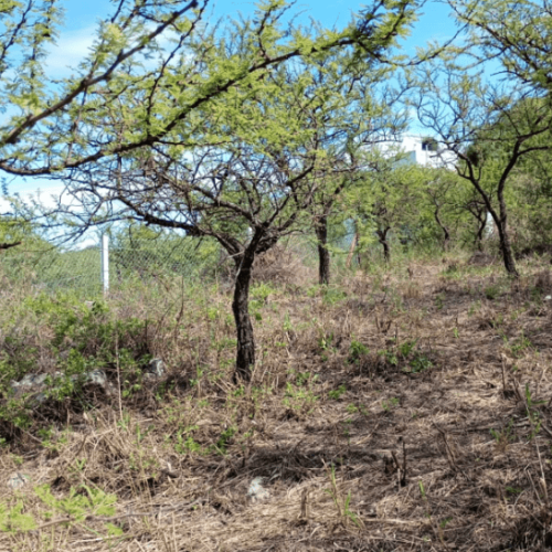 Captura-de-pantalla-2026-04-06-121202