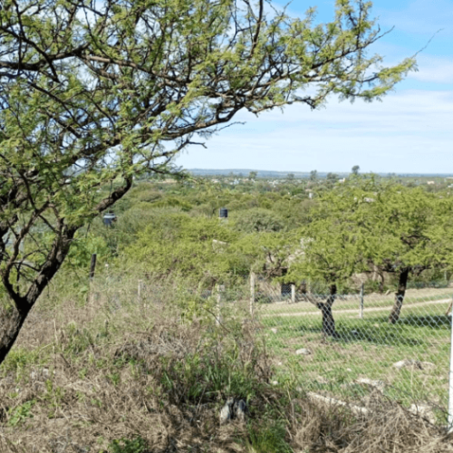 Captura-de-pantalla-2026-04-06-121217