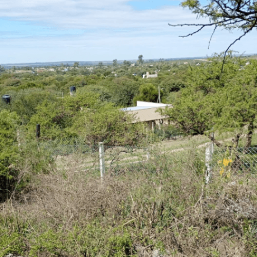 Captura-de-pantalla-2026-04-06-121227-1