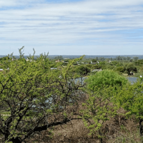 Captura-de-pantalla-2026-04-06-121233