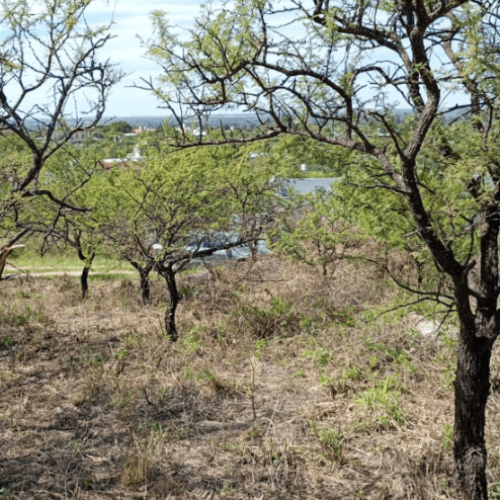 Captura-de-pantalla-2026-04-06-121245