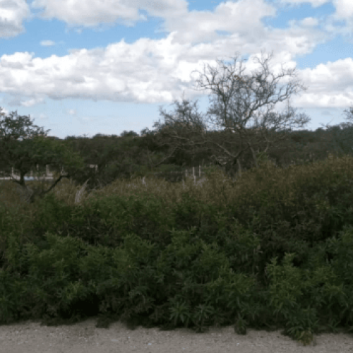 Captura-de-pantalla-2026-04-06-123638-1