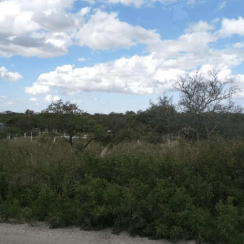 Captura-de-pantalla-2026-04-06-123645