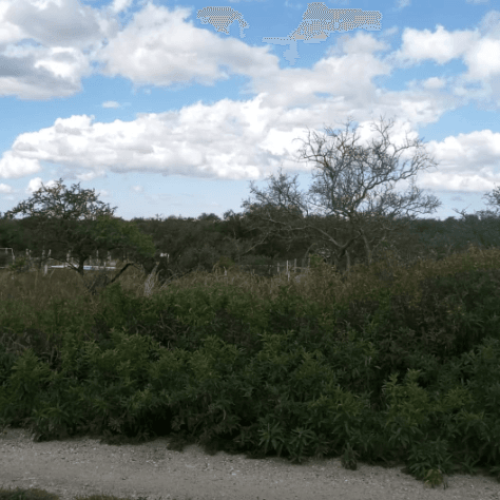 Captura-de-pantalla-2026-04-06-123652