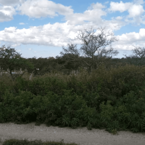 Captura-de-pantalla-2026-04-06-123659