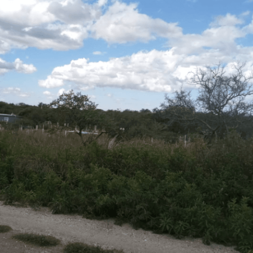 Captura-de-pantalla-2026-04-06-123707