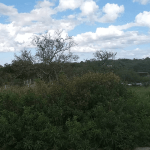 Captura-de-pantalla-2026-04-06-123715