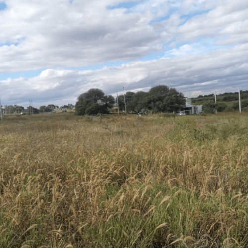 Captura-de-pantalla-2026-04-15-105222-1