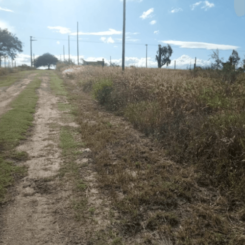 Captura-de-pantalla-2026-04-15-105234