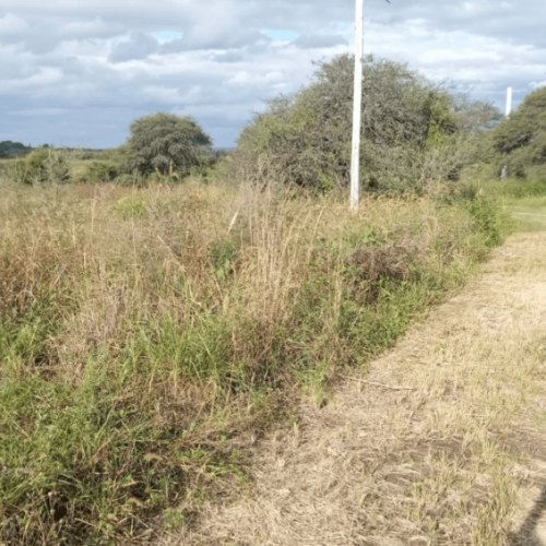 Captura-de-pantalla-2026-04-15-105243