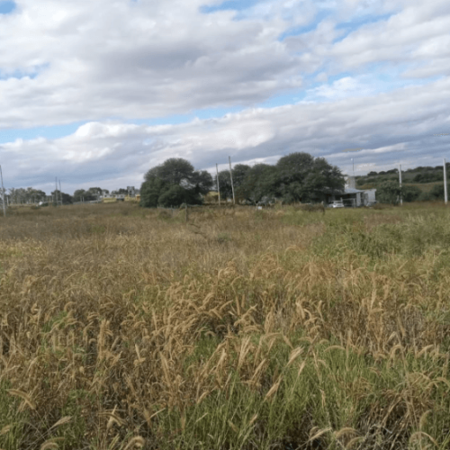 Captura-de-pantalla-2026-04-15-105315