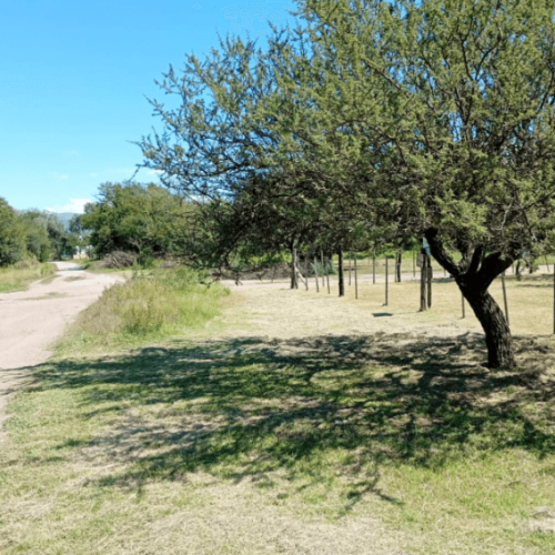 Captura-de-pantalla-2026-04-15-105442