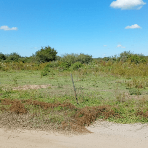 Captura-de-pantalla-2026-04-15-105621-1