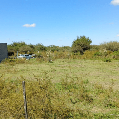 Captura-de-pantalla-2026-04-15-105628