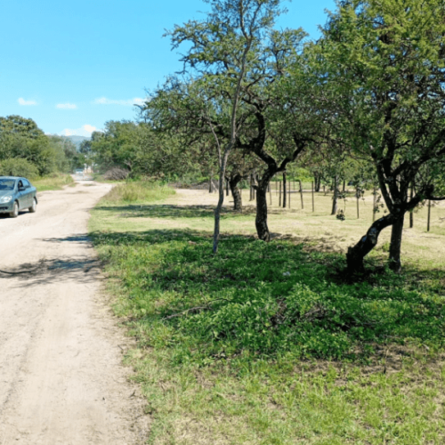 Captura-de-pantalla-2026-04-15-105635