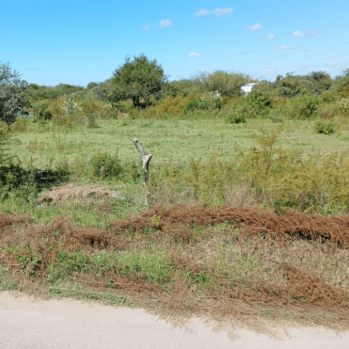 Captura-de-pantalla-2026-04-15-105642