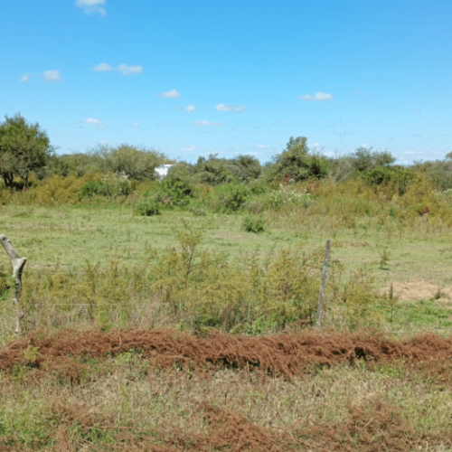 Captura-de-pantalla-2026-04-15-105655