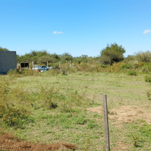 Captura-de-pantalla-2026-04-15-105712