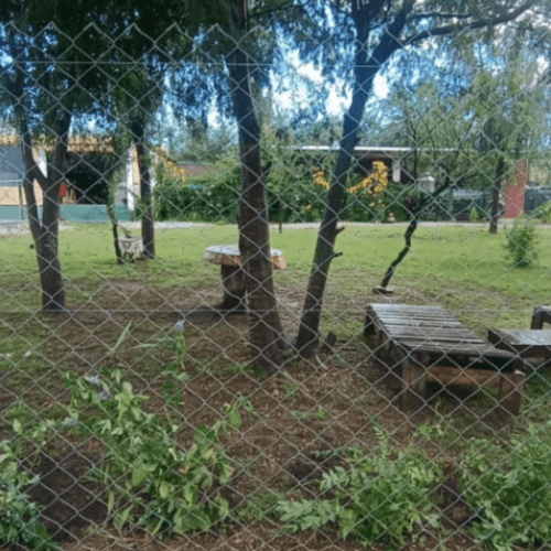 Captura-de-pantalla-2026-05-13-105811-1